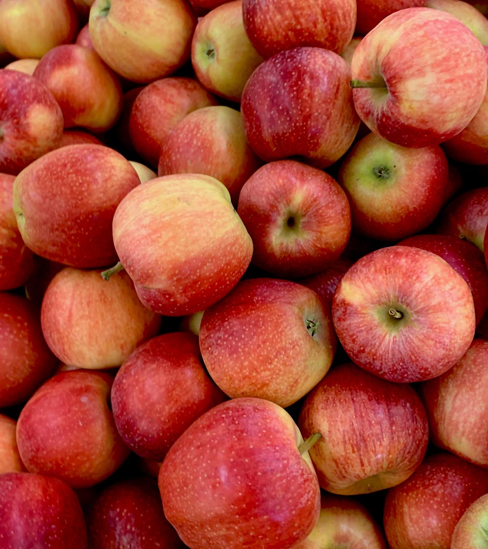 Apples