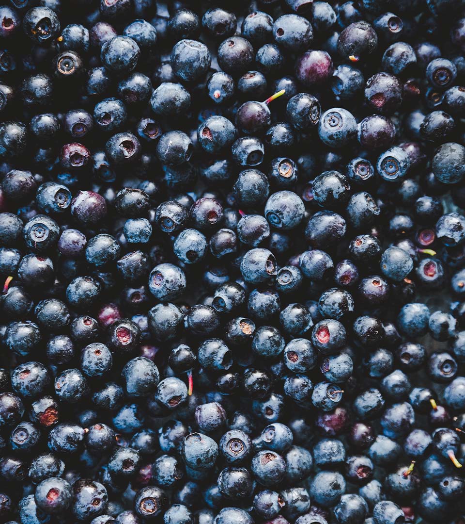 blueberries