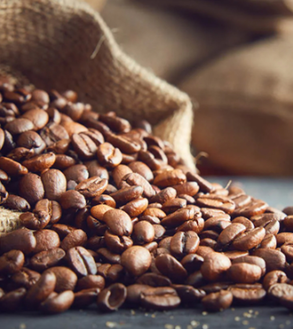 Coffee Beans/Cherries