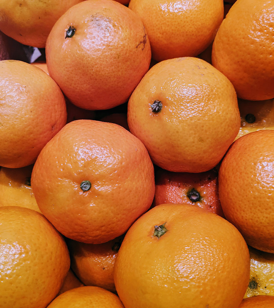 grapefruits