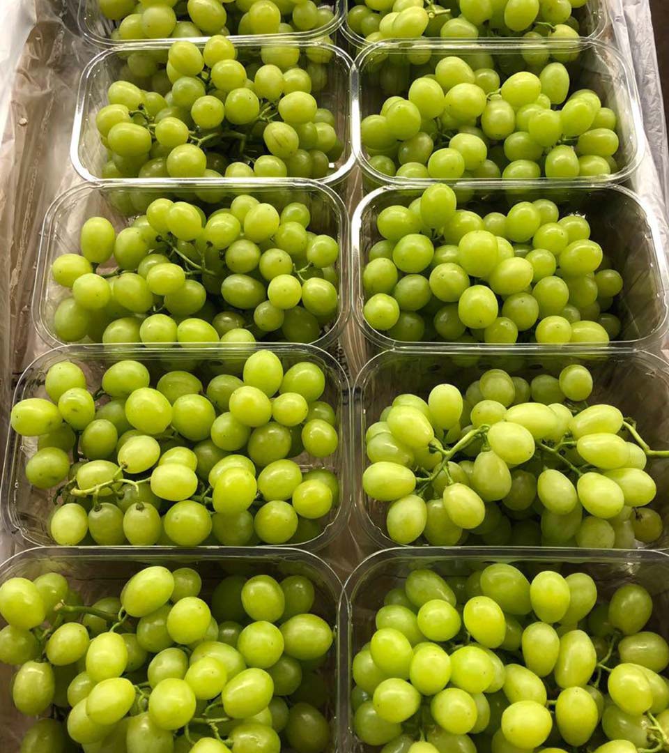 grapes