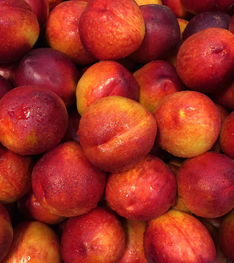 stonefruit