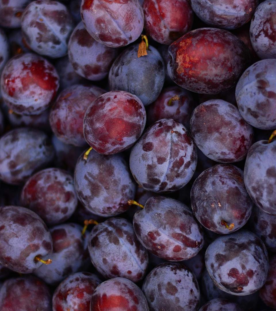 stonefruit